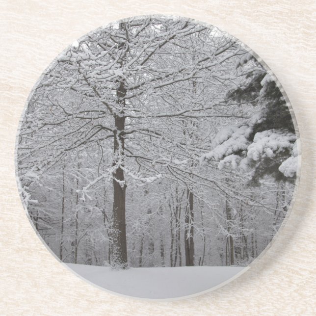 Posavasos De Arenisca Vista de Woods (Frente)