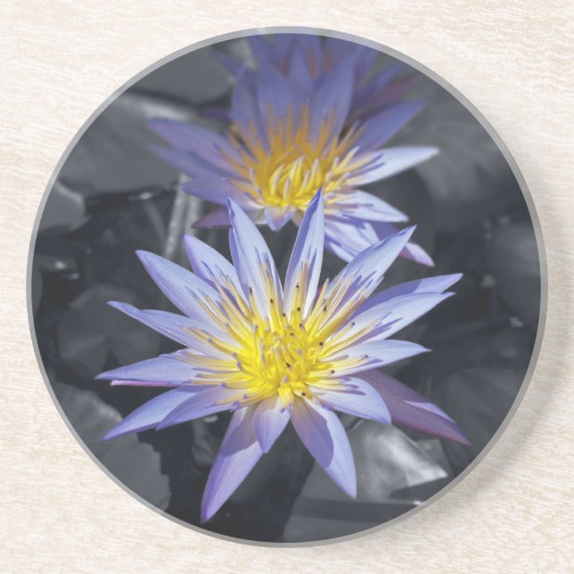 Posavasos De Arenisca Water Lilies Coaster (Frente)