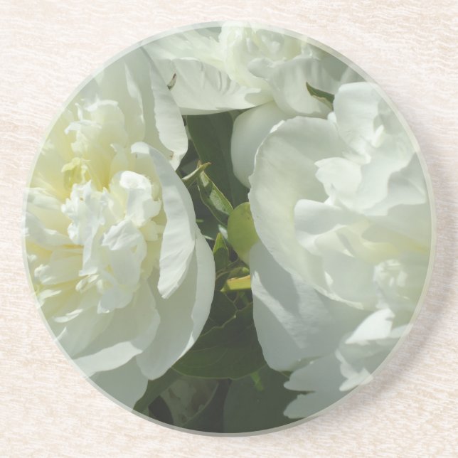 Posavasos De Arenisca White Peonies (Frente)