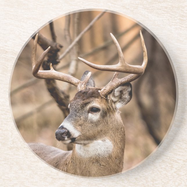 Posavasos De Arenisca White Tail Deer Buck (Frente)