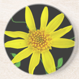 Posavasos De Arenisca Wildflower amarillo botánico en cualquier color
