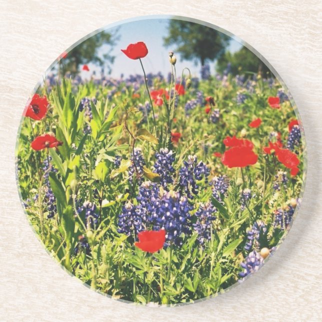 Posavasos De Arenisca Wildflowers de Tejas (Frente)
