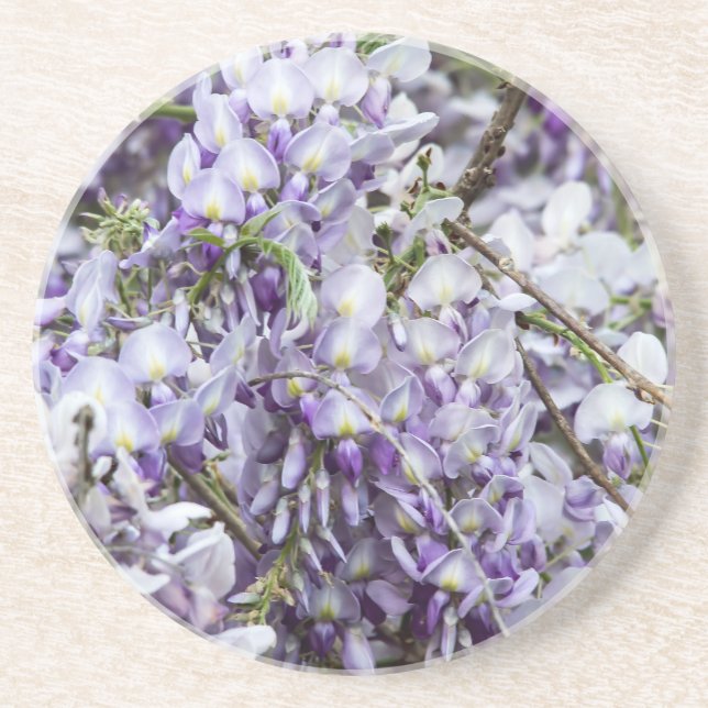 Posavasos De Arenisca Wisteria (Frente)