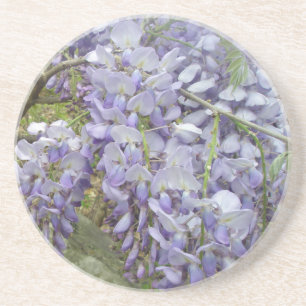 Posavasos De Arenisca Wisteria en los bosques