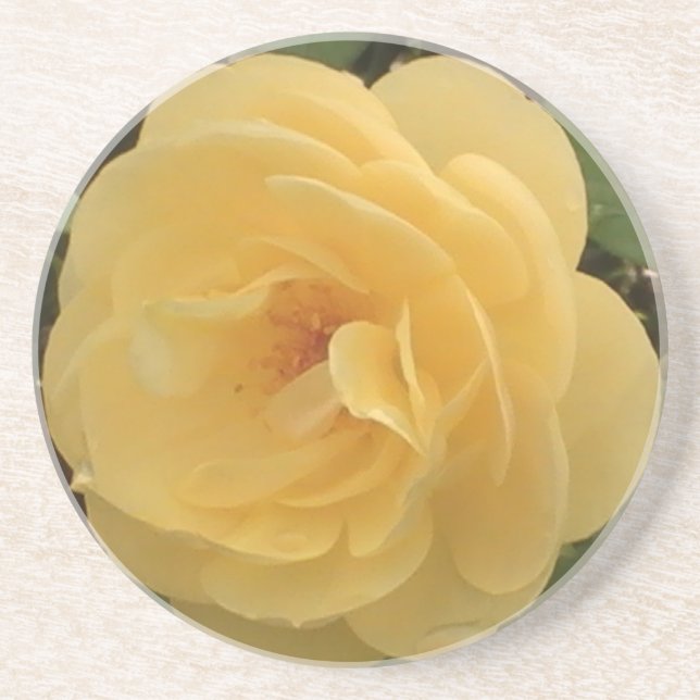 Posavasos De Arenisca Yellow Camellia Coaster (Frente)
