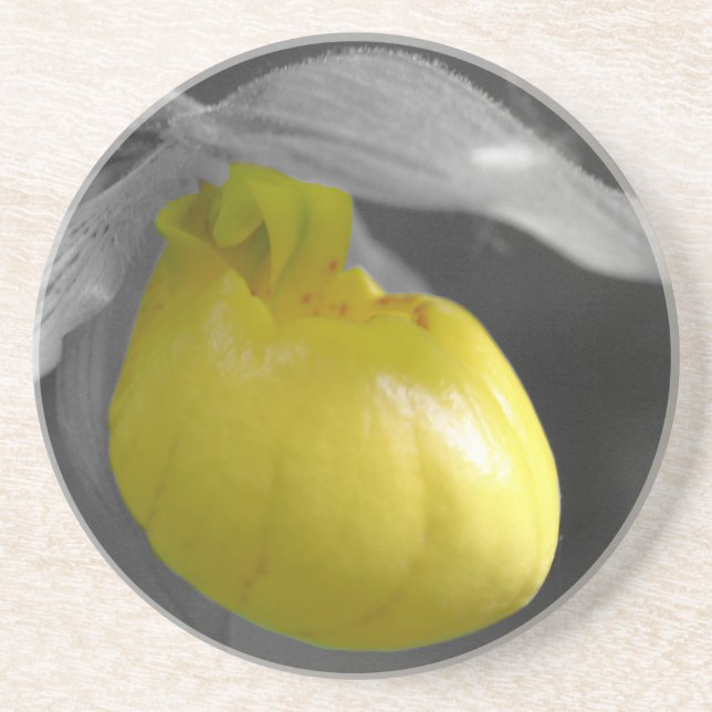 Posavasos De Arenisca Yellow Lady Slipper Floral Coaster (Frente)
