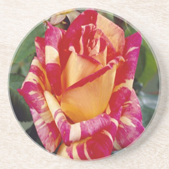 Posavasos De Arenisca Yellow Pink Roses Coaster (Frente)