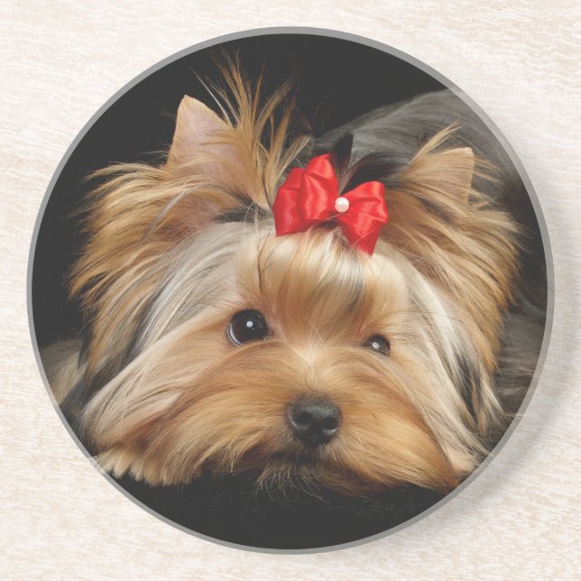 Posavasos De Arenisca Yorkie lindo (Frente)