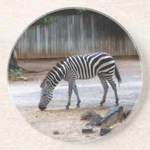 Posavasos De Arenisca Zebra Coaster