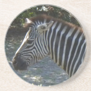 Posavasos De Arenisca Zebra Coasters