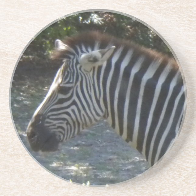 Posavasos De Arenisca Zebra Coasters (Frente)