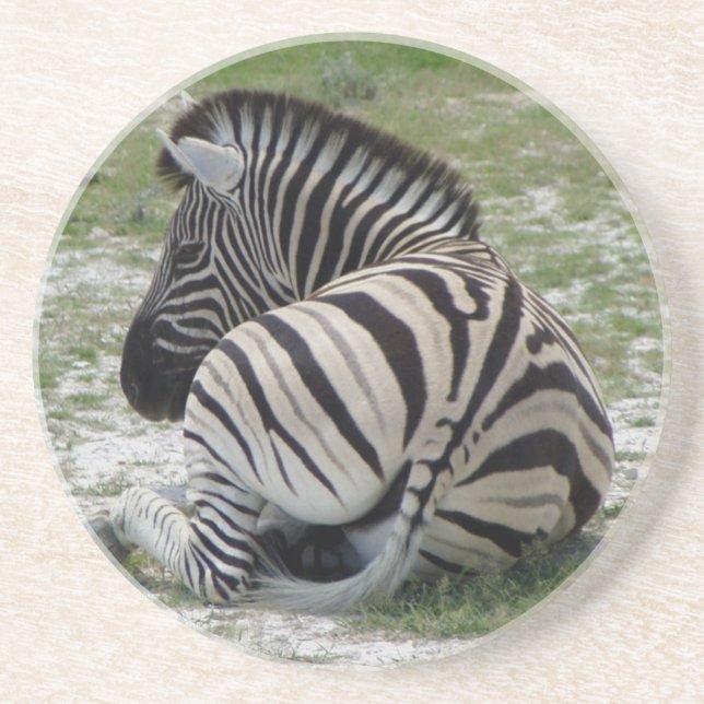 Posavasos De Arenisca Zebra Coasters (Frente)