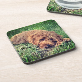 Posavasos de Bebida Cute Golden Doodle
