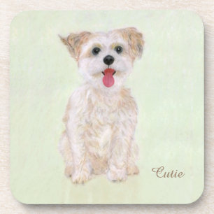 Posavasos de bebida para perro Morkie