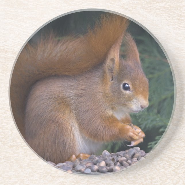 Posavasos de Brunch con Nueces (Frente)