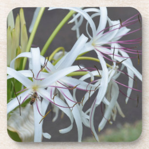 Posavasos de corcho con fragancia floral