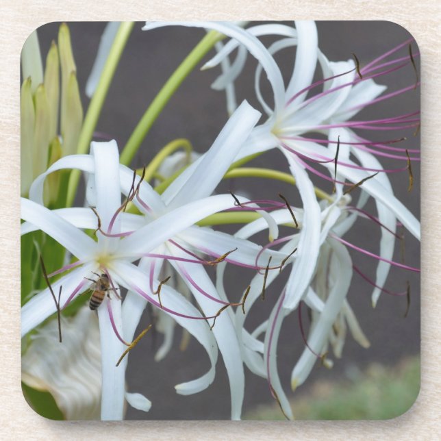 Posavasos de corcho con fragancia floral (Frente)