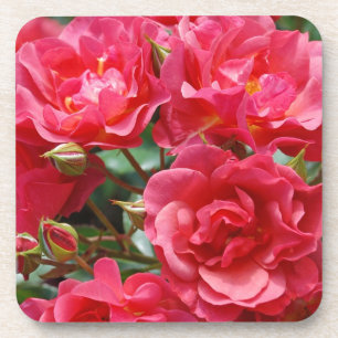 Posavasos de estampado de rosas rosadas bonitas