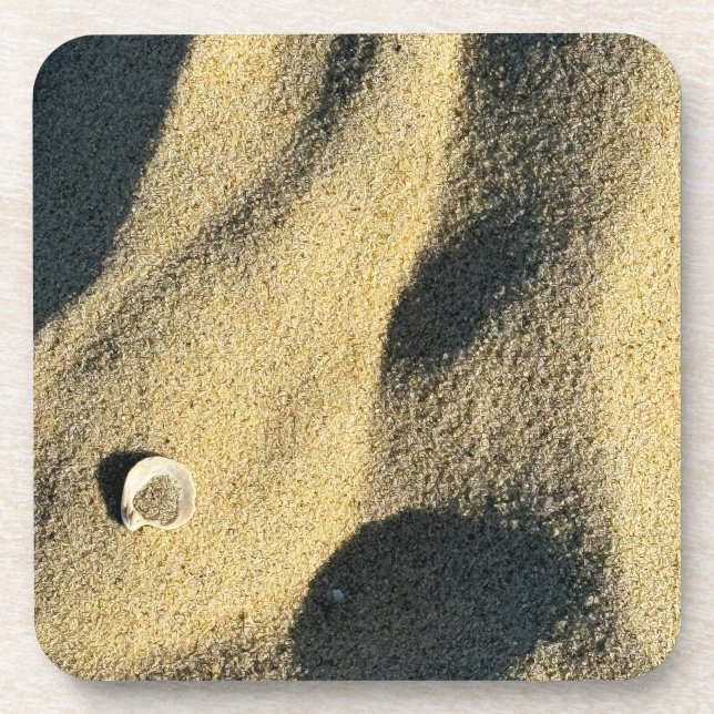 Posavasos de Fotos de Conchas de Arena de Playa (Frente)