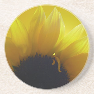 Posavasos de Girasoles Regalos de Flores Amarillas