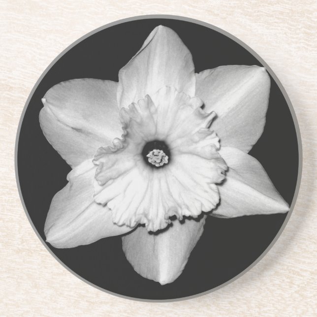 Posavasos de Narciso en Primer Plano (B&N) (Frente)