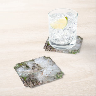 Posavasos De Papel Abrir Pods Milkweed   Semillas con seda  