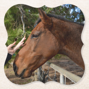 Posavasos De Papel Amigo del caballo para siempre,