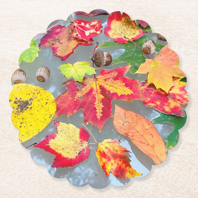 Posavasos De Papel Astras de papel de hojas de otoño (Anverso)