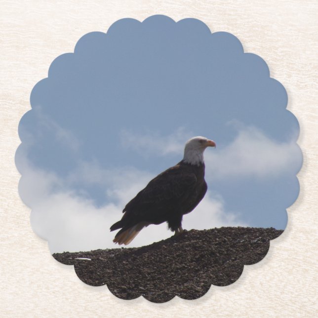 Posavasos De Papel Bald Eagle Paper Coasters (Anverso)
