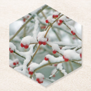 Posavasos De Papel Bayas Rojas en la Nieve