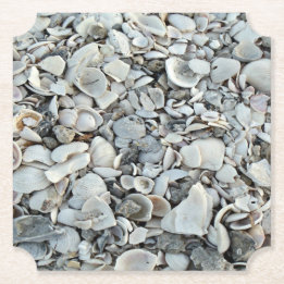 Posavasos De Papel Beachcomber Shell Scatter