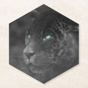 Posavasos De Papel Black Jaguars Emerald Gaze