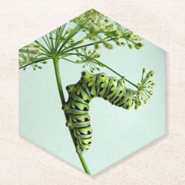 Posavasos De Papel Black Swallowtail Caterpillar parsante