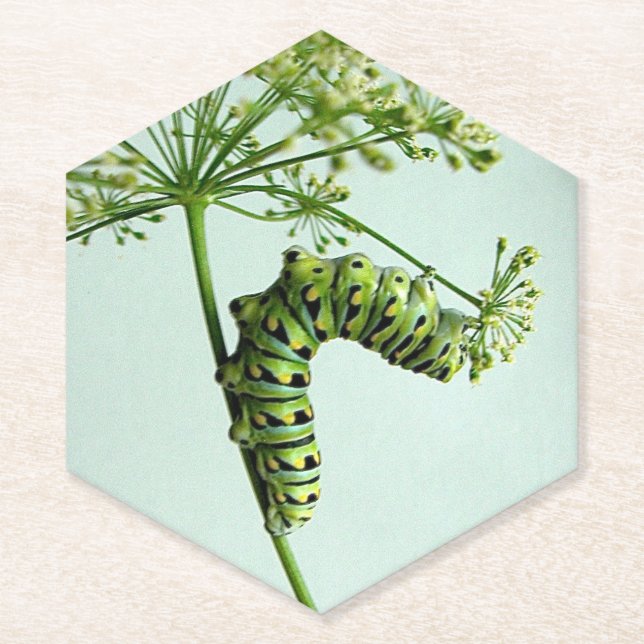 Posavasos De Papel Black Swallowtail Caterpillar parsante (Anverso)