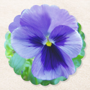 Posavasos De Papel Bonito Púrpura Flor Pansy