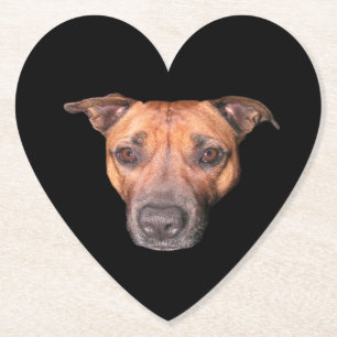Posavasos De Papel Brown Brindle Staffordshire Bull Terrier Face,