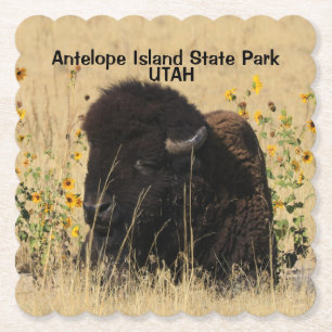Posavasos De Papel Bull Buffalo Antelope Island Montaña de Papel UTAH