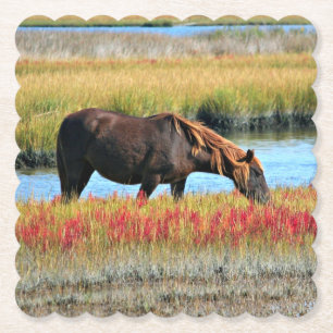 Posavasos De Papel Caballo marrón pastando junto a prado acuático