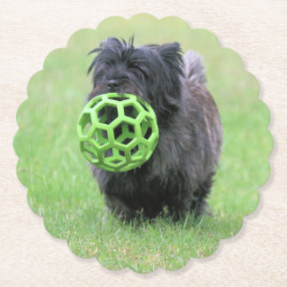 Posavasos De Papel Cairn terrier