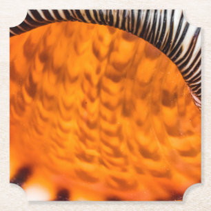 Posavasos De Papel Capa de agua de mar