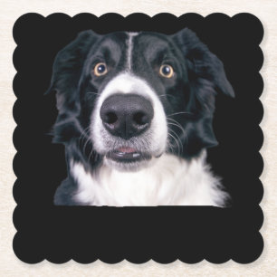 Posavasos De Papel Cara de Perro Blanco y Negro
