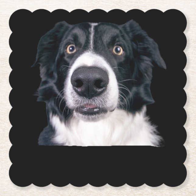 Posavasos De Papel Cara de Perro Blanco y Negro (Anverso)