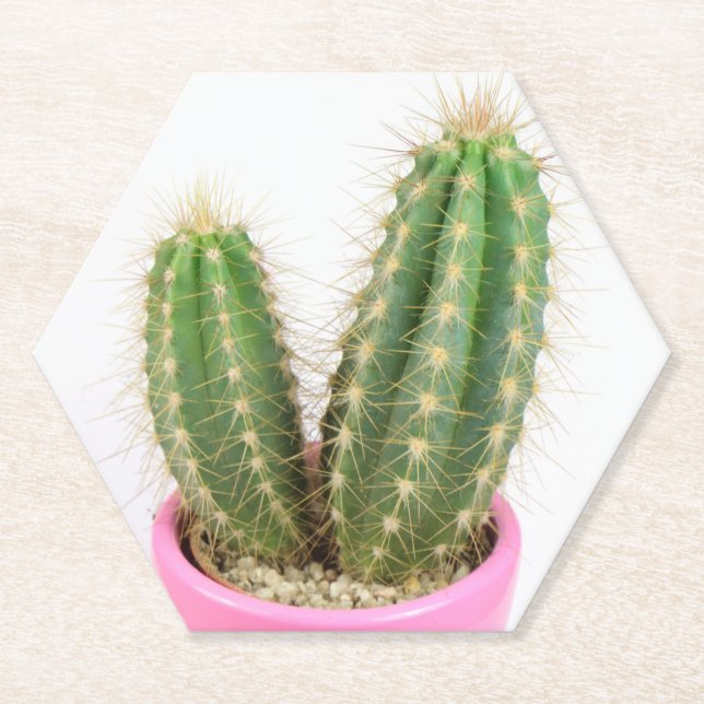 Posavasos De Papel Cereus cactus (Anverso)