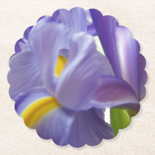 Posavasos De Papel Cerrar foto de un iris morado y amarillo