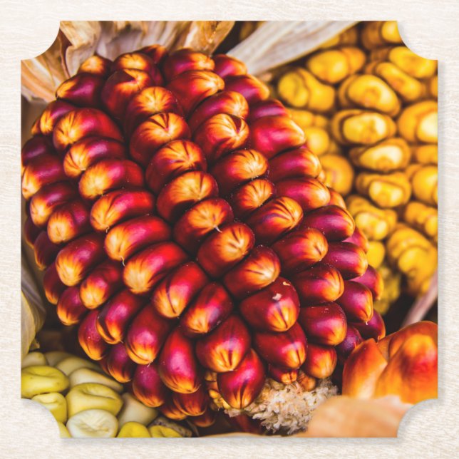 Posavasos De Papel Coberturas de maíz (Anverso)