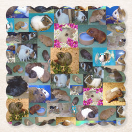 Posavasos De Papel Collage de fotos de Cerdo de Guinea,