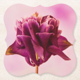 Posavasos De Papel Columbina rosa de Borgoña