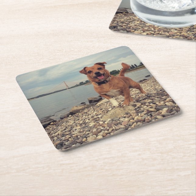 Posavasos de papel con fotografía de tu perro (En perspectiva)