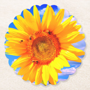 Posavasos de Papel con Girasol