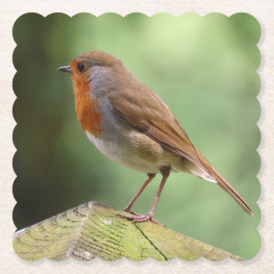 Posavasos De Papel Copas de papel Robin